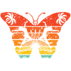Strange Butterfly Effect