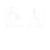 BMX Bikers Statement Problem Solution.