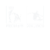 Skateboard Skateboarders Statement Problem