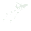 Paratrooper 82ND Airplane Jump