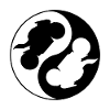 yin yang moto motard