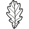 Black graphic oak leaf
