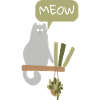 Funny Cats meow