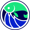fishing fishing