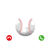 Baseball Fan Phone Display