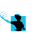 Polo Hair Float Cadeau