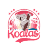 Koala Girl Koala Bear