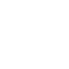 Édition limitée 1999
