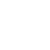 Édition limitée 1991