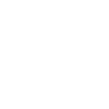 Limited Edition 1993