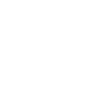 Limited Edition 1980