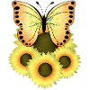 Butterfly Sunflowers