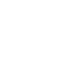Édition limitée 1981
