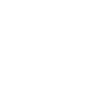 Limited Edition 1977