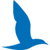 blue bird