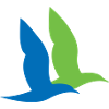 double oiseau maritime