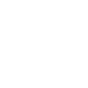 petitdejnyc