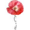 Poppy Believe in yourself