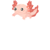 Axolotl Amphibian Lurch Salamander