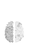 Engineers Brain, Engineer