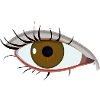 eye watching you
