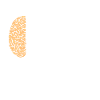 Engineers Brain, Engineer