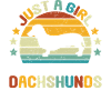 Dachshund Rough-haired Dachshund