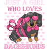Dachshund Rough-haired Dachshund