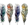 Pen
