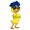 Duck Policeman Sunglasses Police