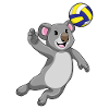 Koala Volleyball Player Volleyball