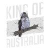 Roi d’Australie - Kookaburra