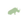 Rhinoceros