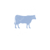 Cow beef