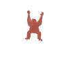 Orangutan