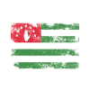 Abkhazia Flag Distressed - Abkhaz Flag