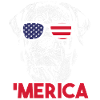 Rottweiler Merica