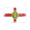 Alderney Flag Distressed - Ridunian Flag