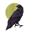 Raven Moon