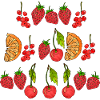 Fruit
