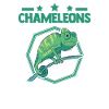 Chamäleon Spirit Animal Caméléon