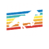 Chevaux Expert Équitation Écuries Équitation