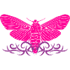 Papillon butterfly