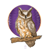 Owl Moon
