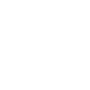 Limited Edition 1963