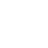 Limited Edition 1951