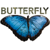 Butterfly lettering with butterfly