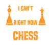 Chess Sachspieler Chessboard Checkmate King