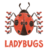 Animal lovers gift insect ladybug