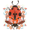 Ladybird